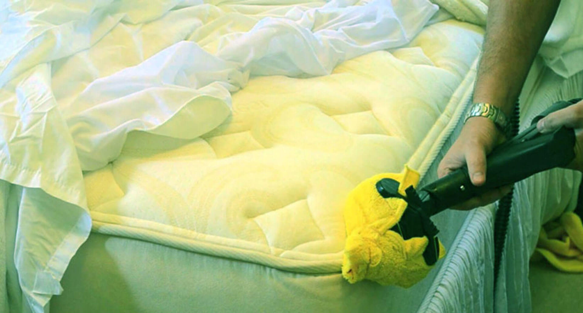 bed-bug-treatment-image